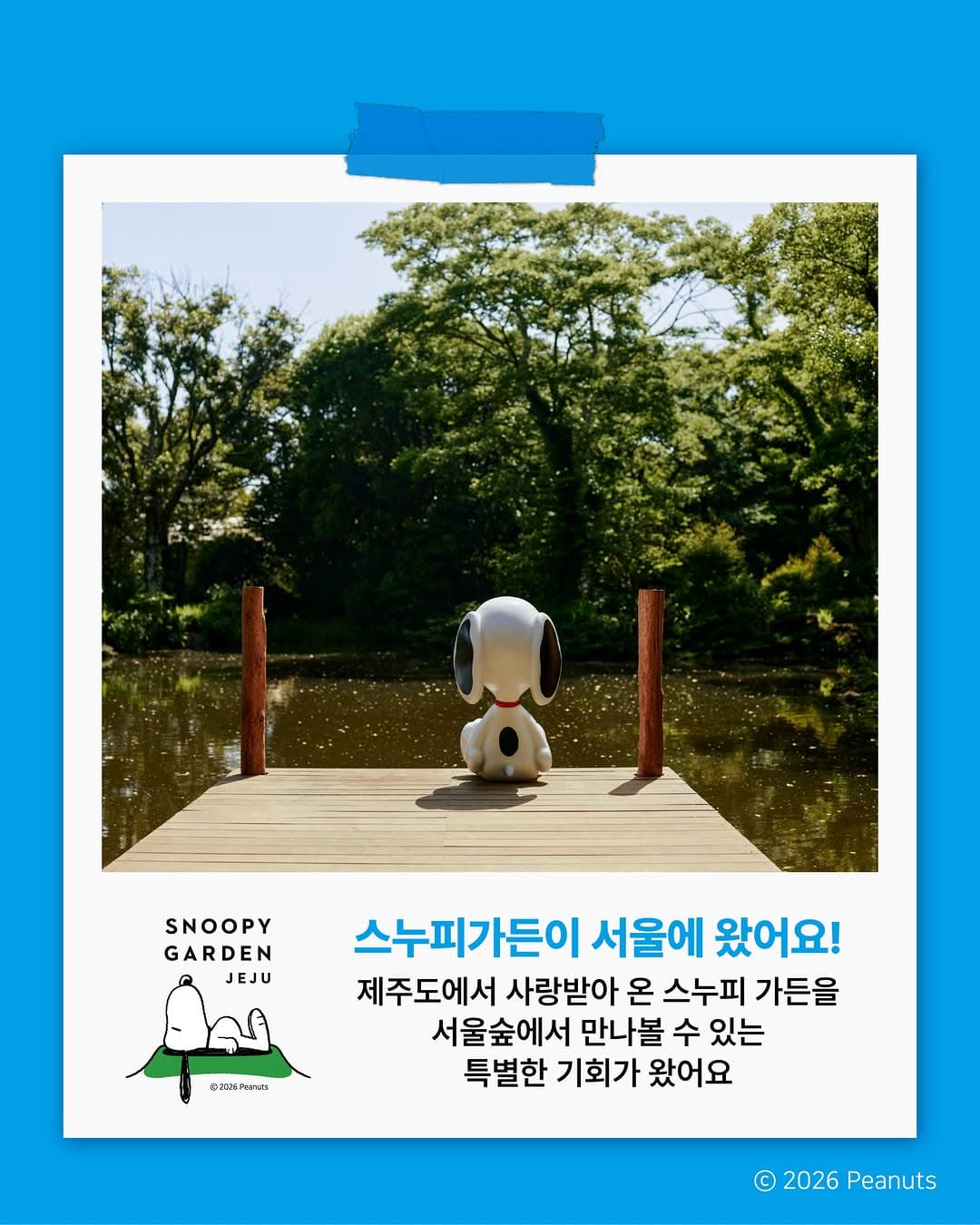 https://d8nffddmkwqeq.cloudfront.net/store/07ebc031%2C4c23%2C4256%2C996c%2Cc168b42d2e1a메인 이미지