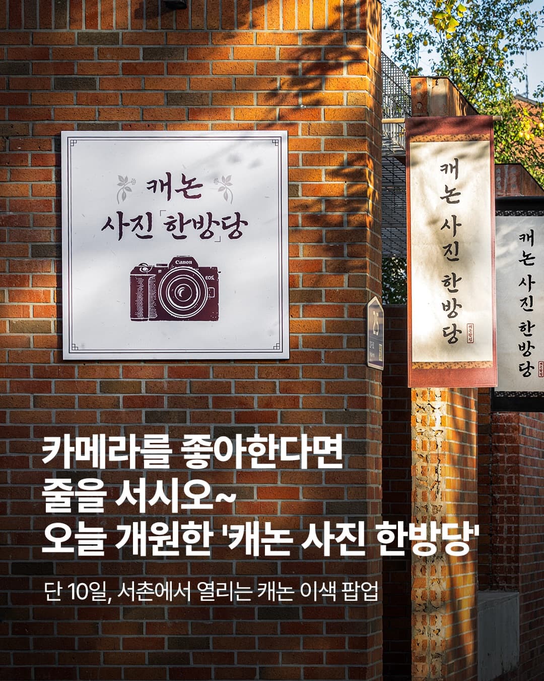 https://d8nffddmkwqeq.cloudfront.net/store/0cfff7ff%2C3430%2C48b6%2C8113%2C506b48b910a5메인 이미지
