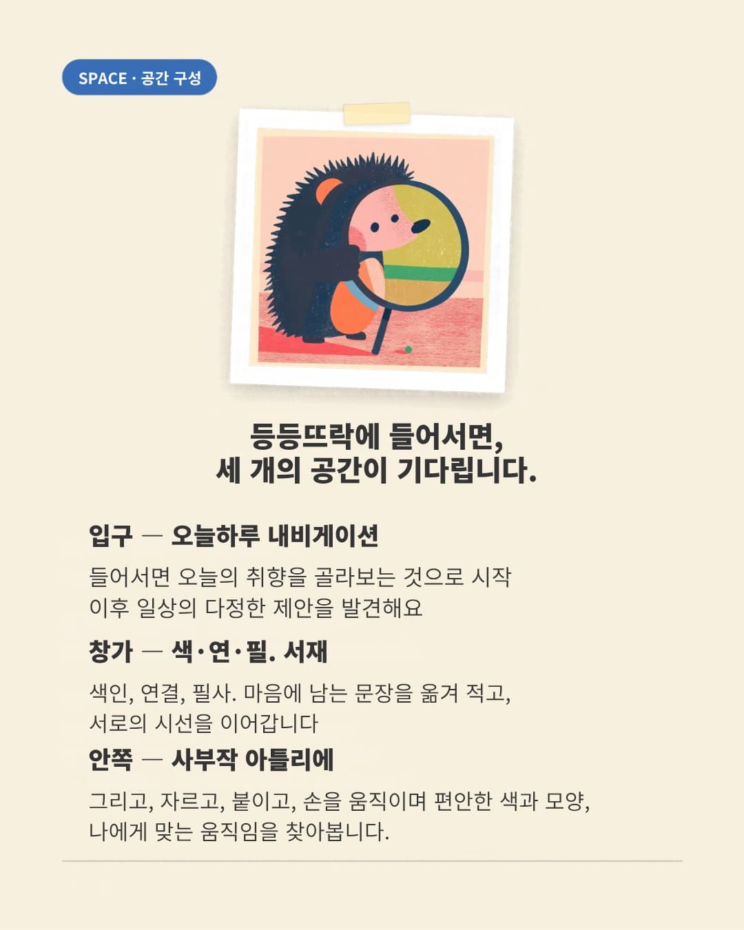 https://d8nffddmkwqeq.cloudfront.net/store/1aab14cb%2C51e2%2C47cc%2C92ea%2Ca1d85811bff3메인 이미지