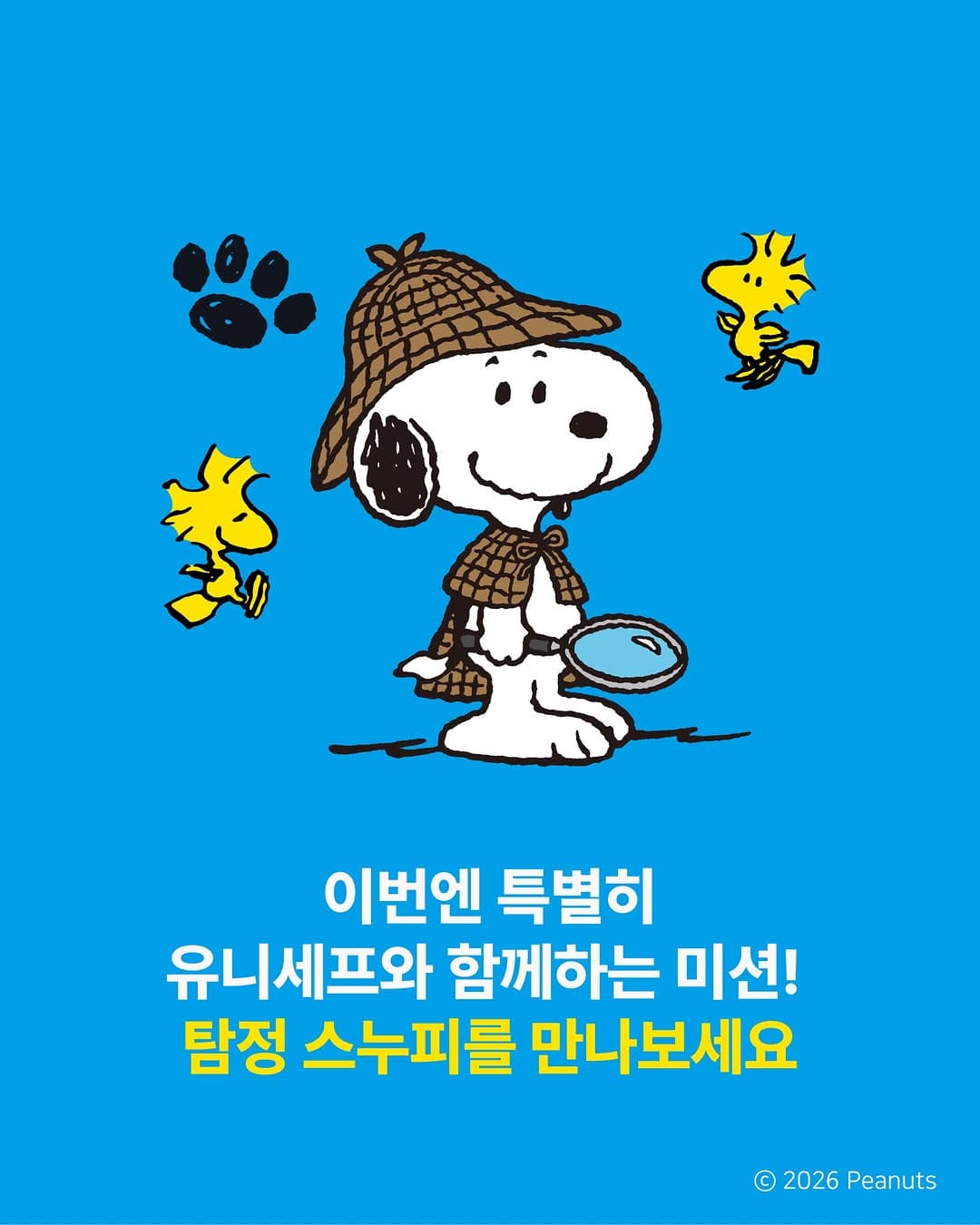 https://d8nffddmkwqeq.cloudfront.net/store/20c2ca4c%2Cb50c%2C4fe1%2Cbc83%2Ce94c046683cf메인 이미지