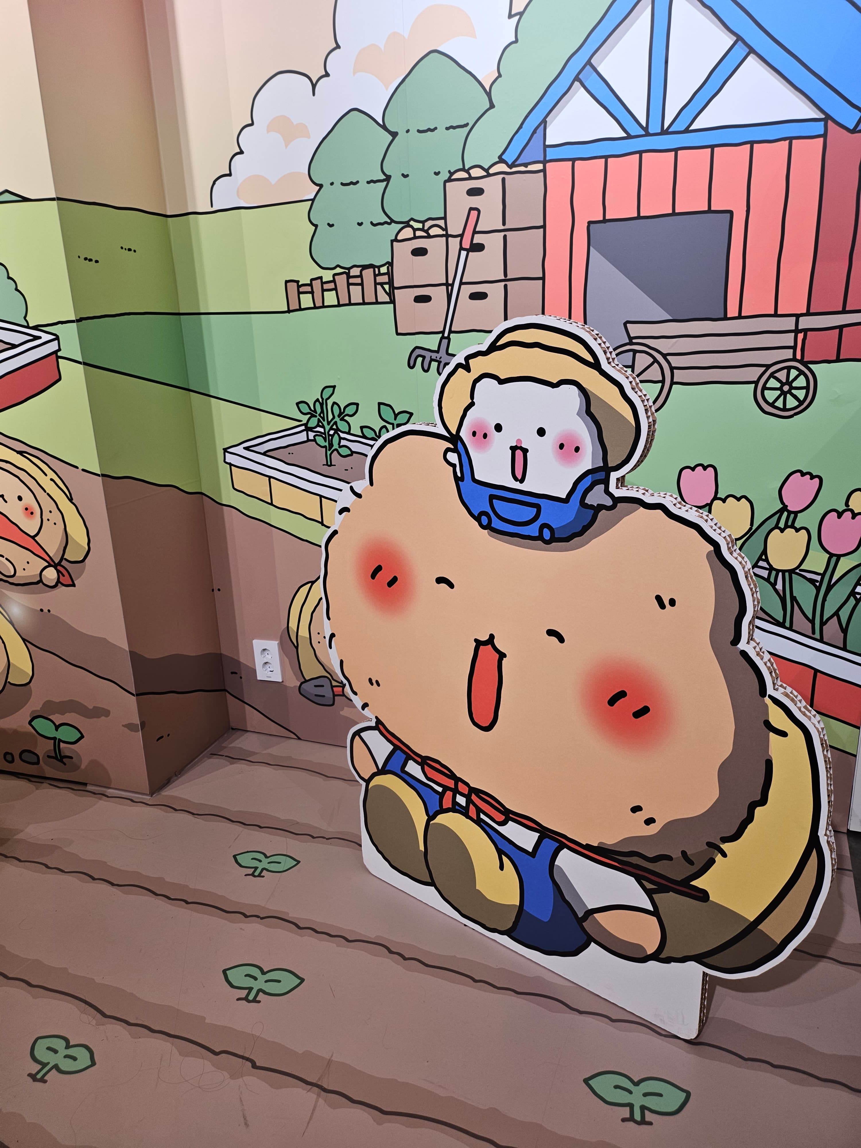 사진후기