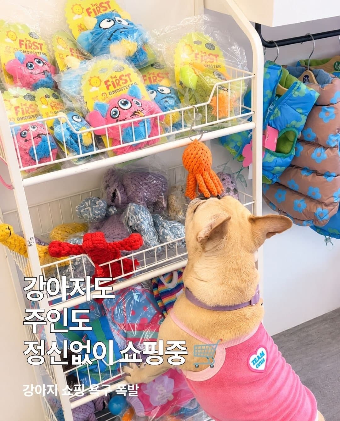 https://d8nffddmkwqeq.cloudfront.net/store/289fdb61%2C9b55%2C4a0e%2C90e6%2C82f6a2149530메인 이미지