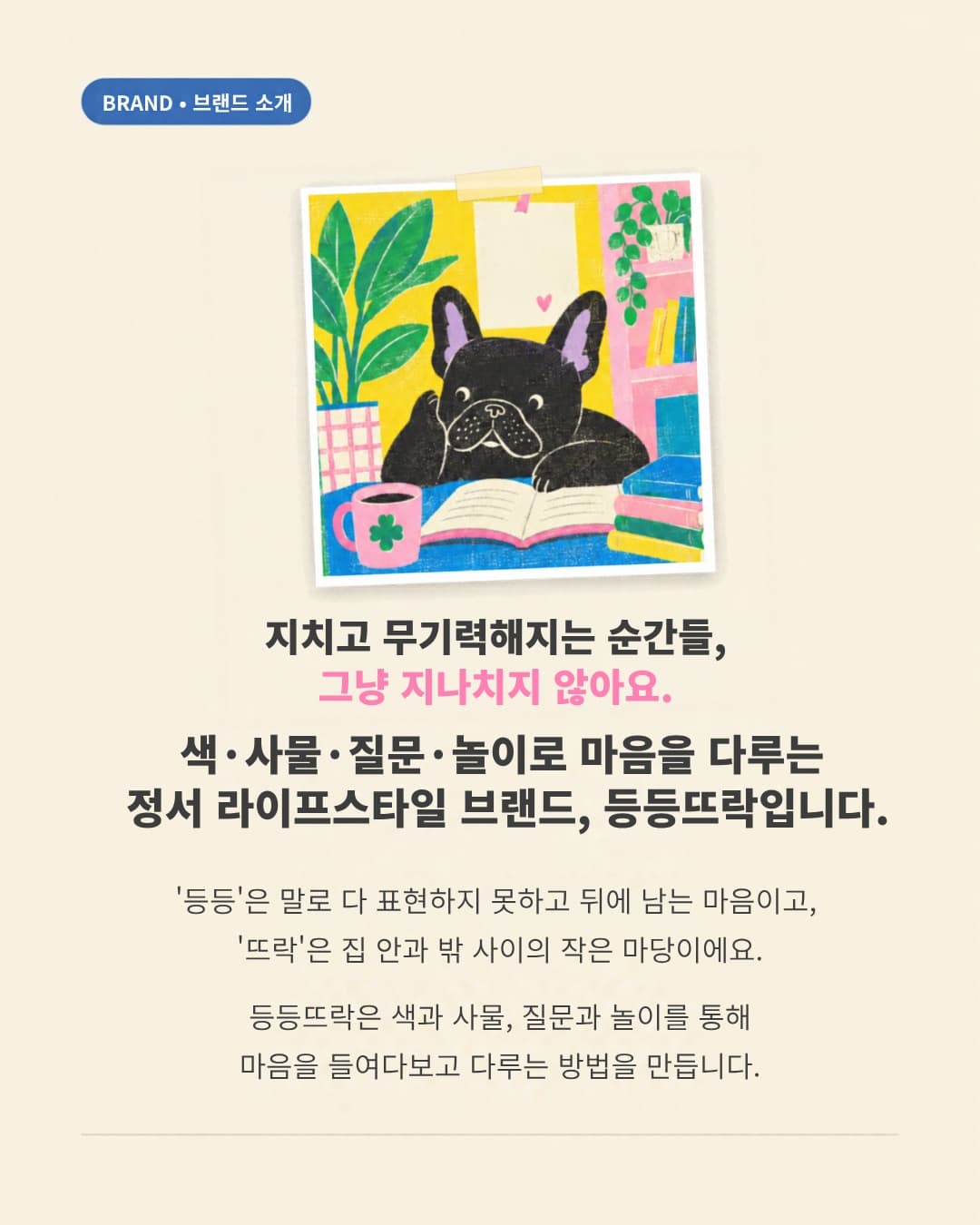 https://d8nffddmkwqeq.cloudfront.net/store/4916b10c%2C212d%2C4f4d%2Cb44f%2C9a06aea0e8c3메인 이미지