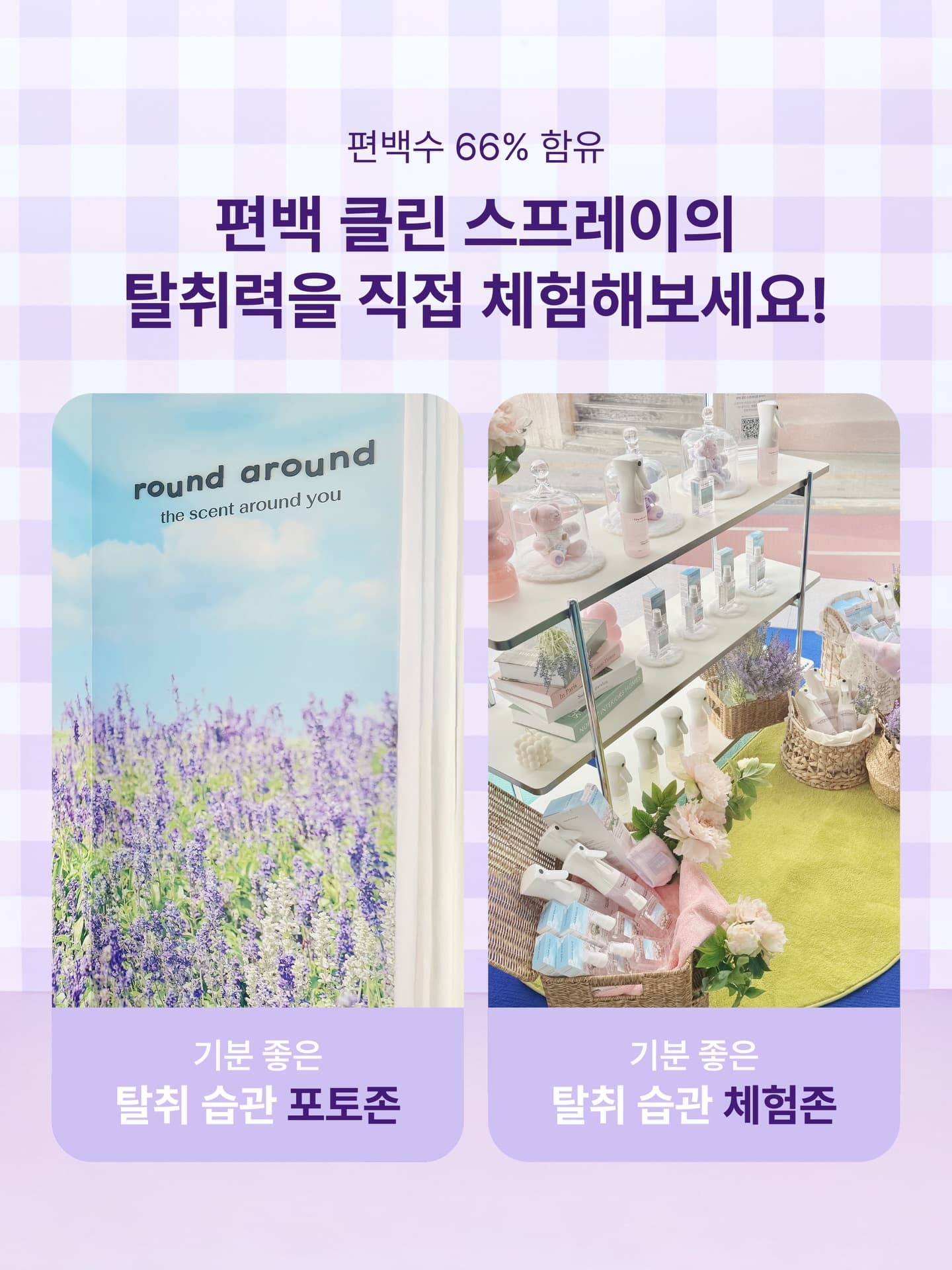 https://d8nffddmkwqeq.cloudfront.net/store/52878f77%2C8900%2C4396%2Cbc9d%2Cf9ae4457af04메인 이미지