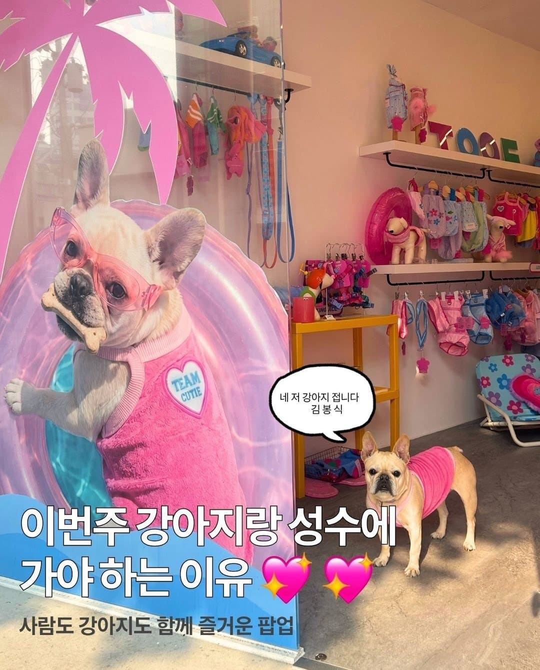 https://d8nffddmkwqeq.cloudfront.net/store/5b9ea31b%2C2240%2C4109%2Cbcf6%2C2c3c63fb388f메인 이미지