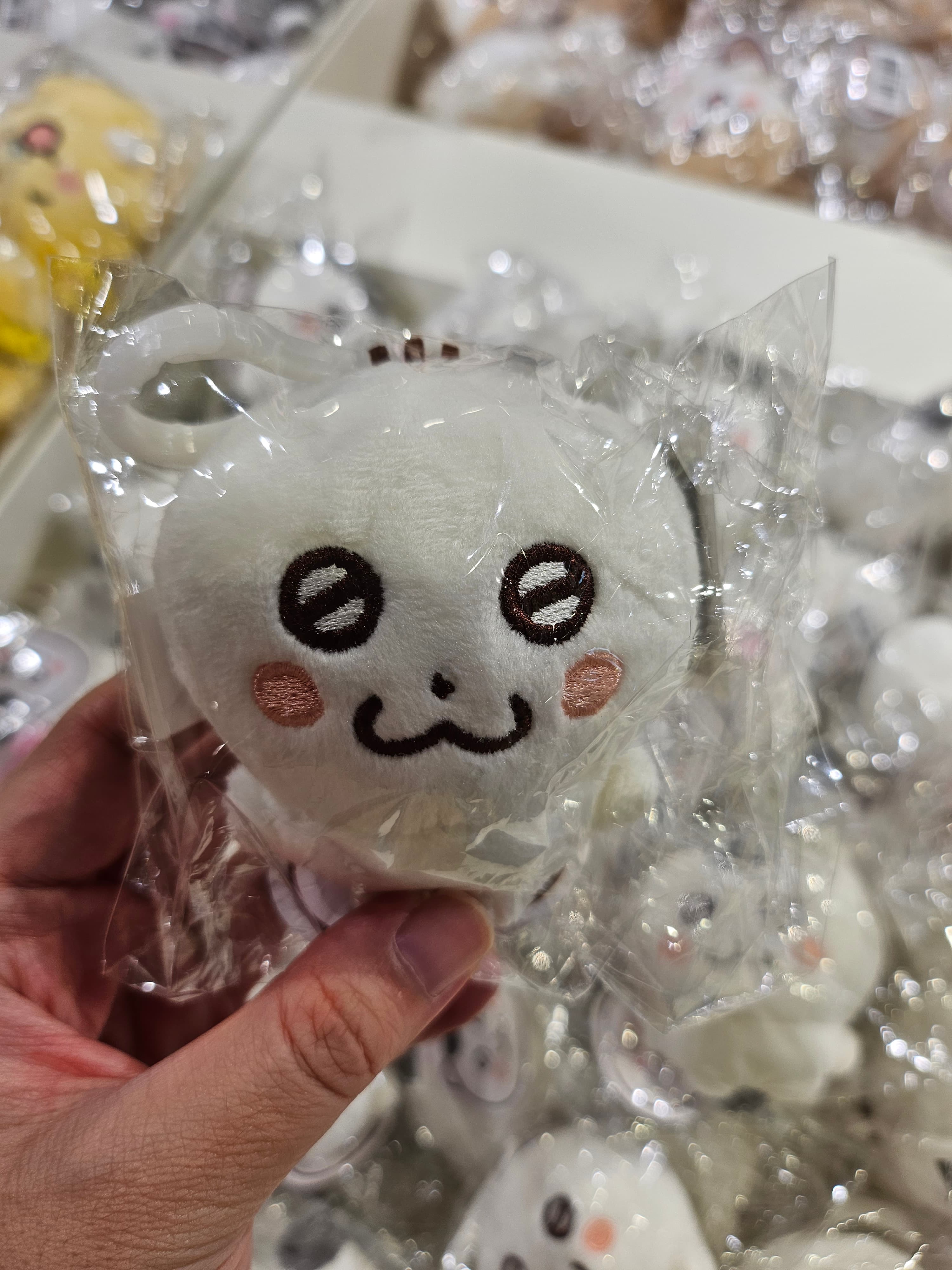사진후기