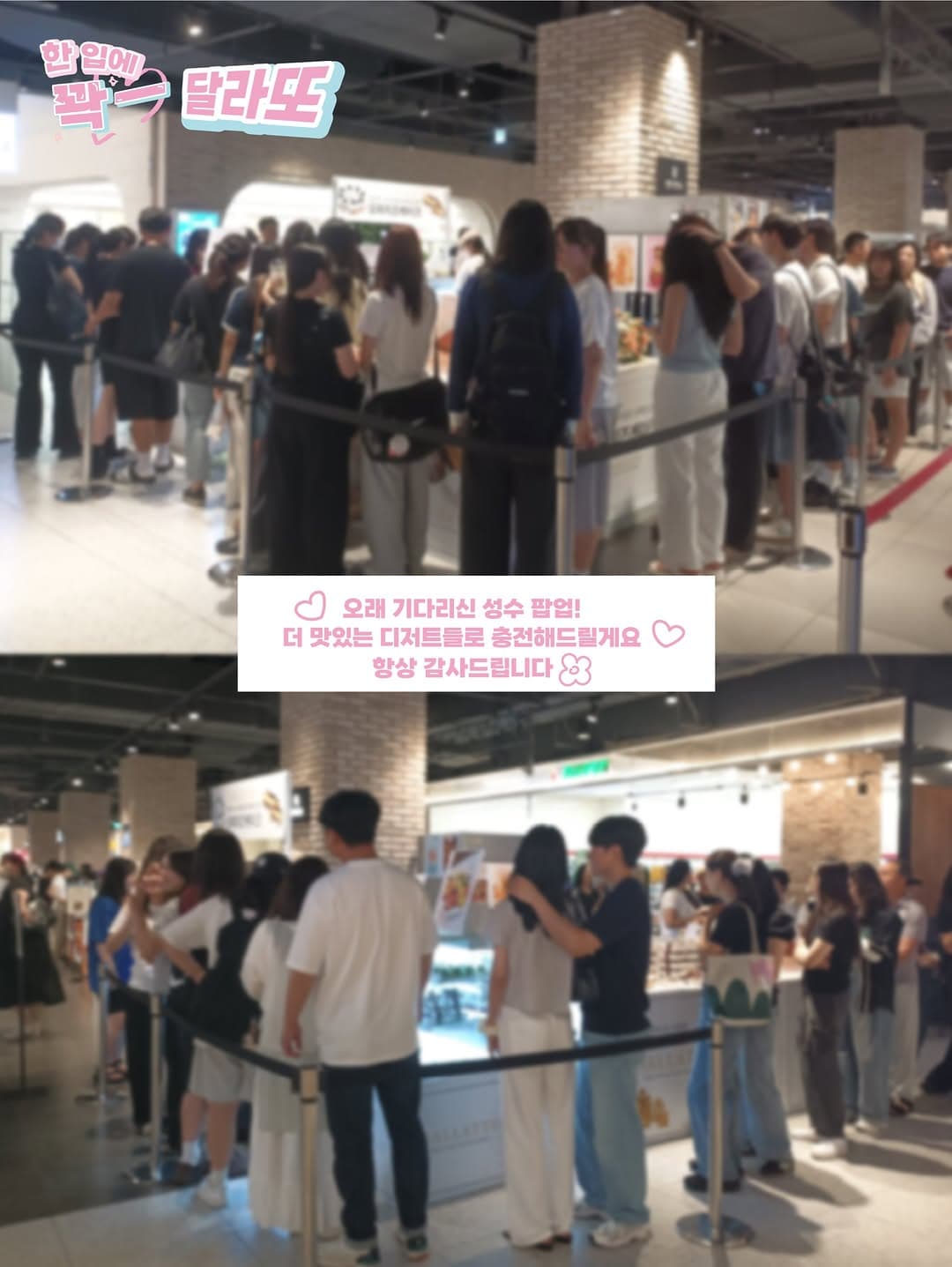 https://d8nffddmkwqeq.cloudfront.net/store/6c99409a%2C778a%2C49cf%2Ca012%2C7f46e6c0c4bd메인 이미지