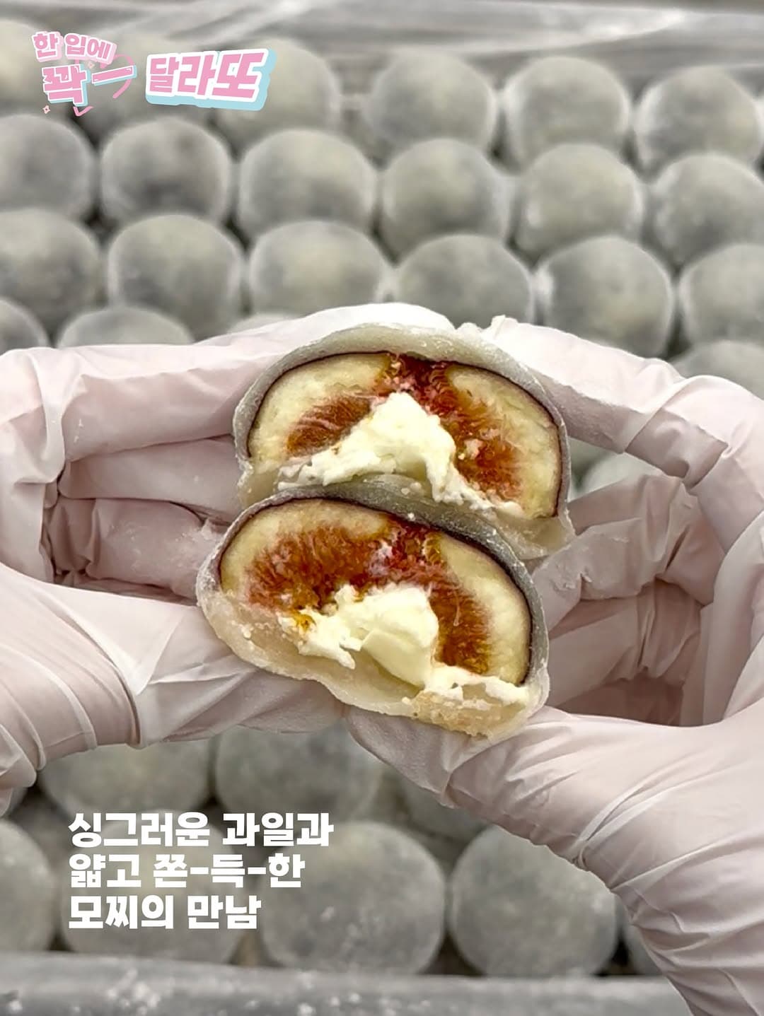 https://d8nffddmkwqeq.cloudfront.net/store/734b5fe9%2C9c4b%2C4112%2Ca329%2C3901593e61fc메인 이미지