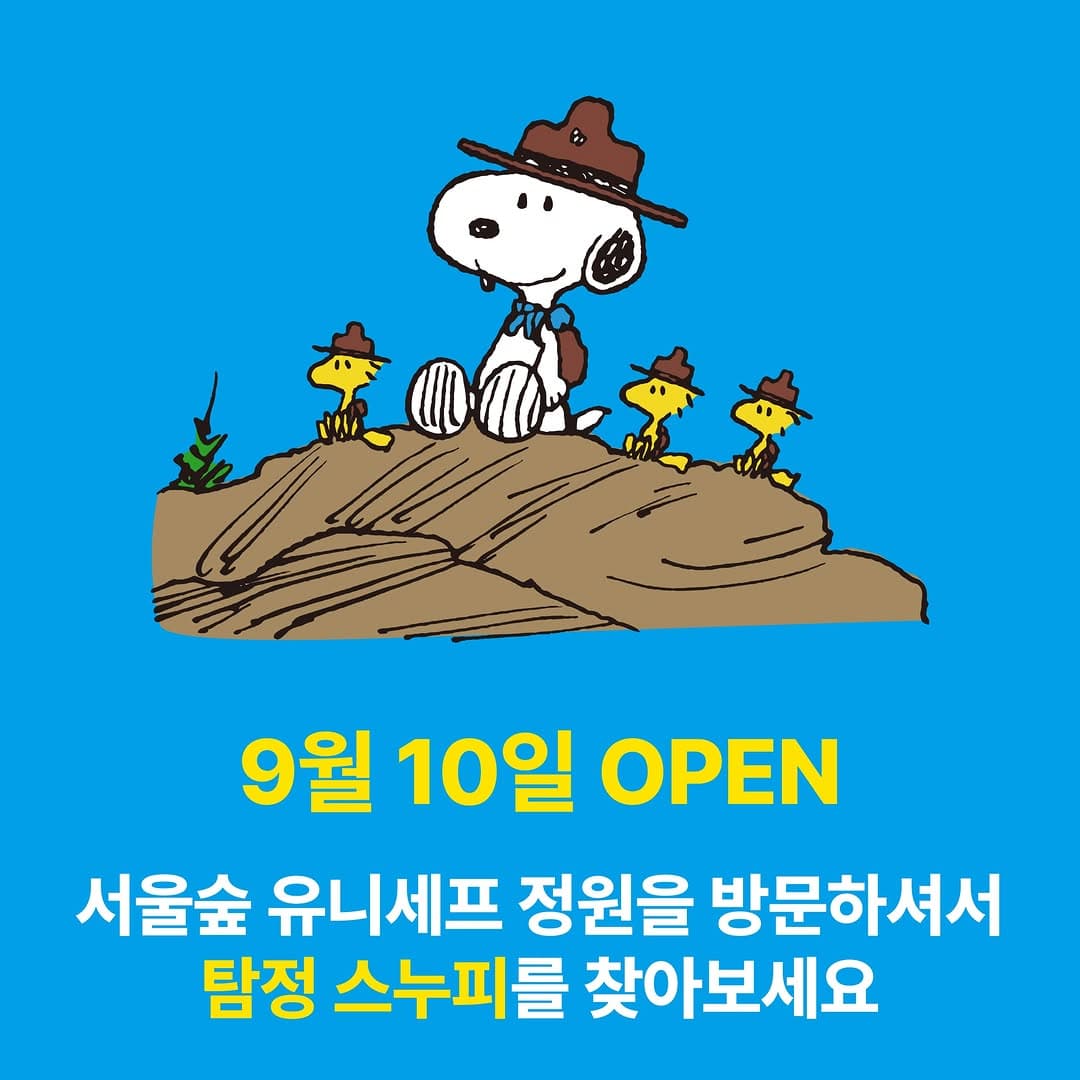 https://d8nffddmkwqeq.cloudfront.net/store/75700624%2Cc5d6%2C489b%2C9026%2Ca878fe8da3f9메인 이미지