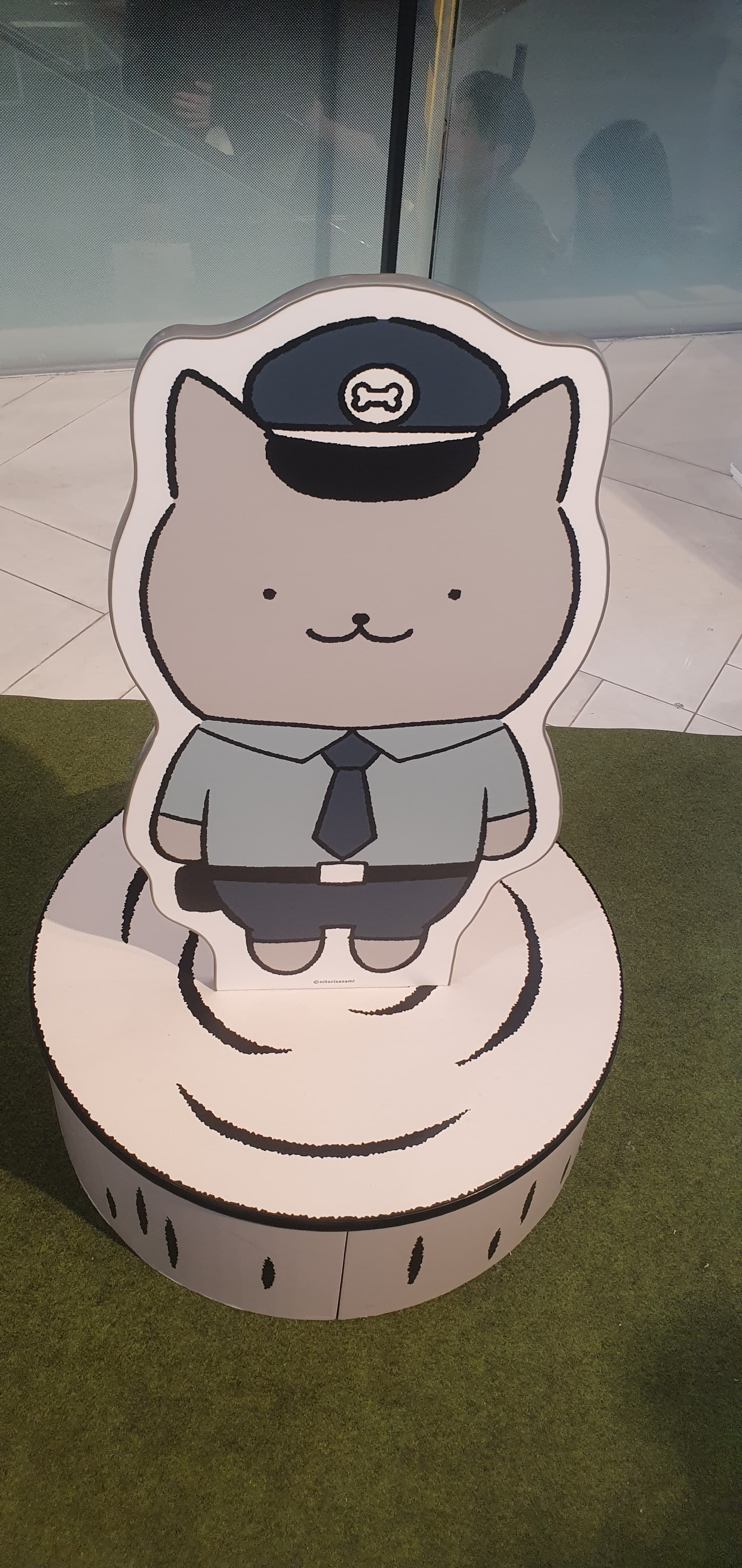 사진후기