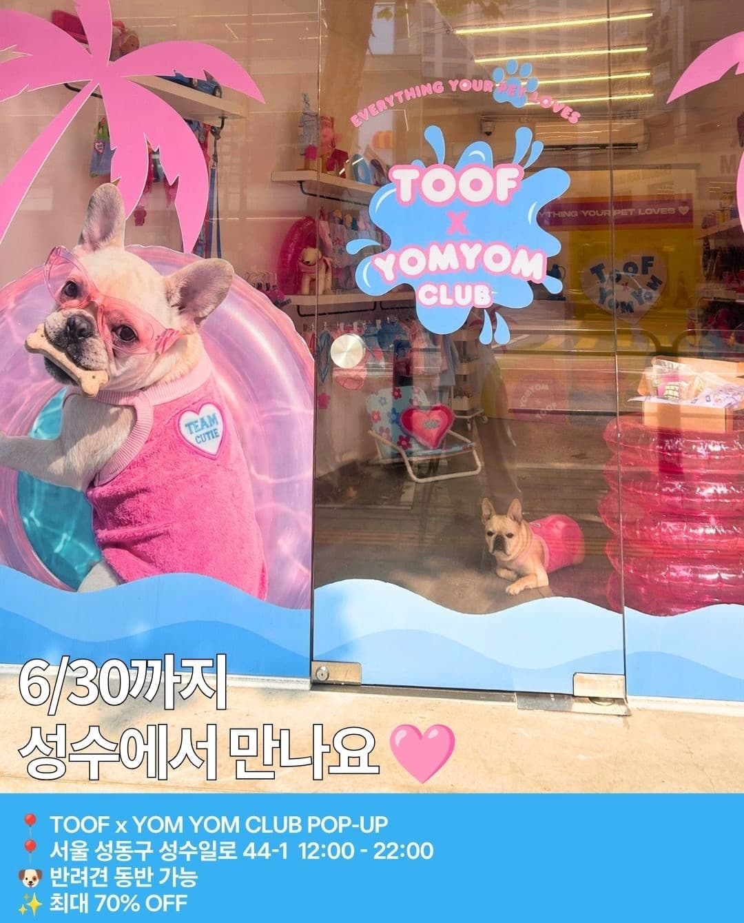 https://d8nffddmkwqeq.cloudfront.net/store/9745b7fb%2Cccdb%2C41d4%2Cb09c%2Cc96ca8ed0459메인 이미지
