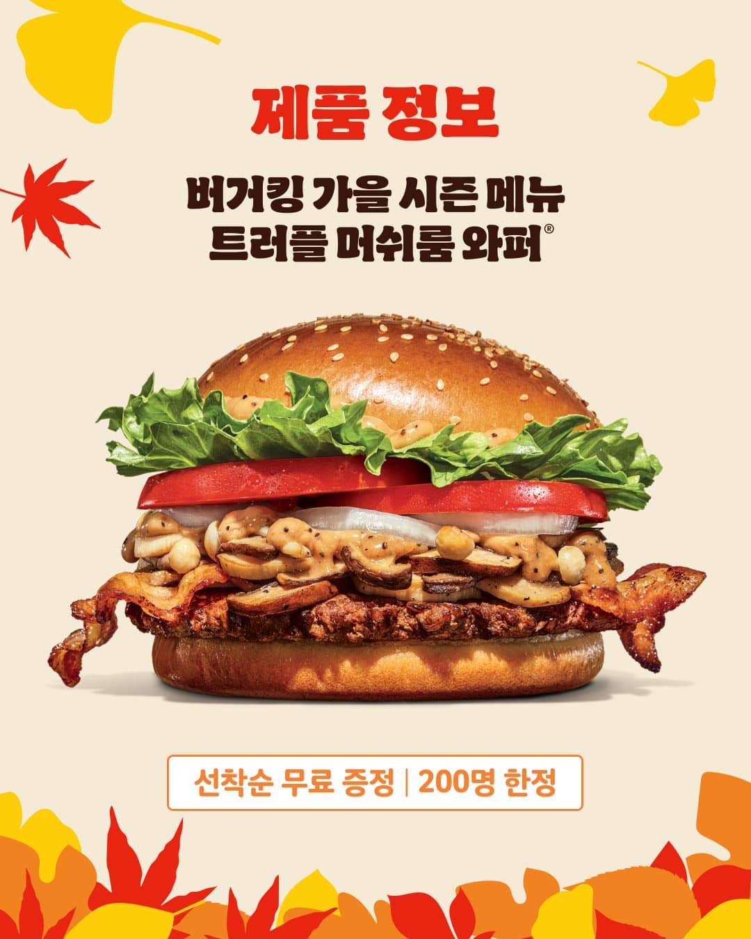 https://d8nffddmkwqeq.cloudfront.net/store/97ea0bb5%2Cf46c%2C4771%2Cb5ad%2Cbd3308f56cb5메인 이미지