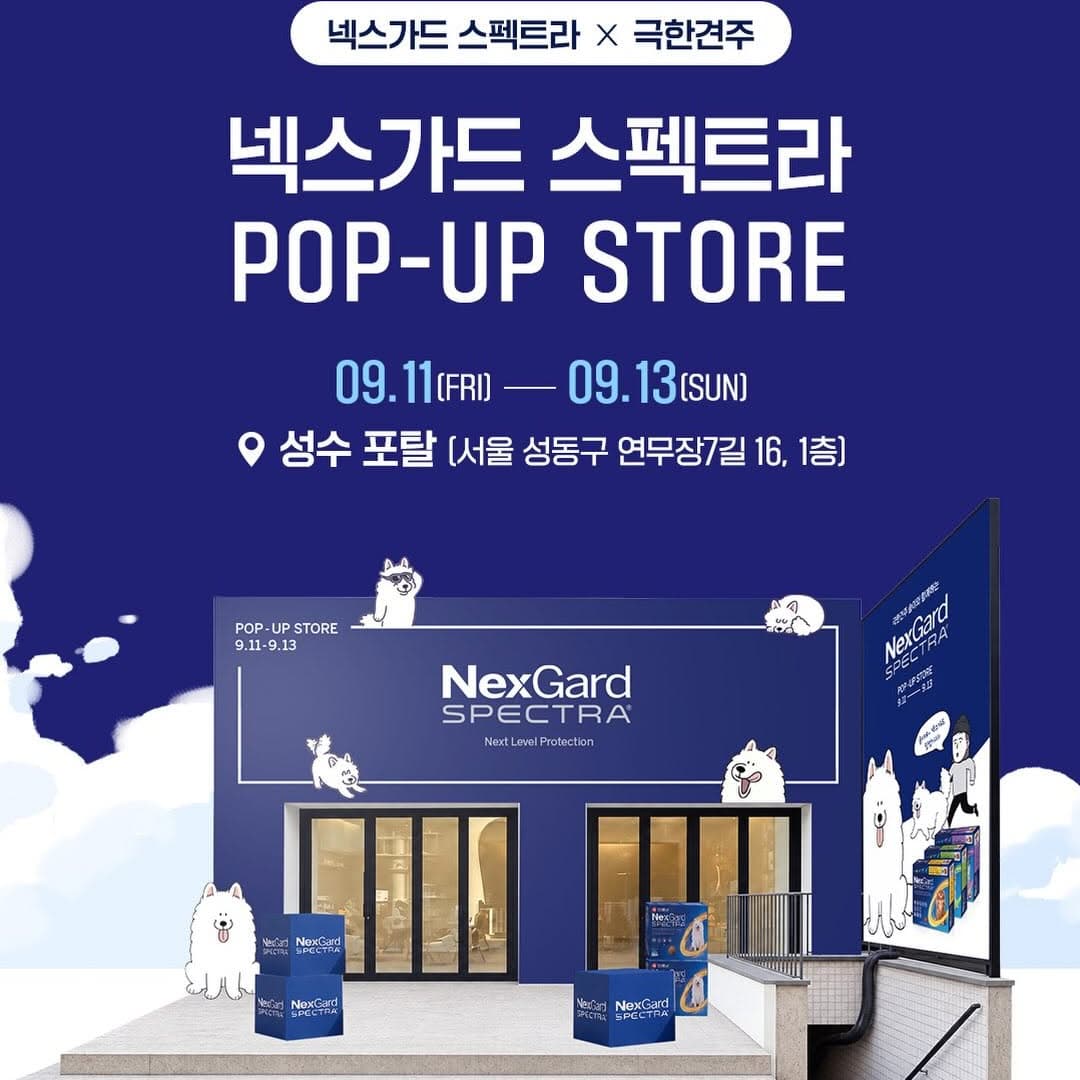 https://d8nffddmkwqeq.cloudfront.net/store/c13c49e5%2Cb8ed%2C47a6%2Cb2bf%2Cc3b2fa6b8353메인 이미지