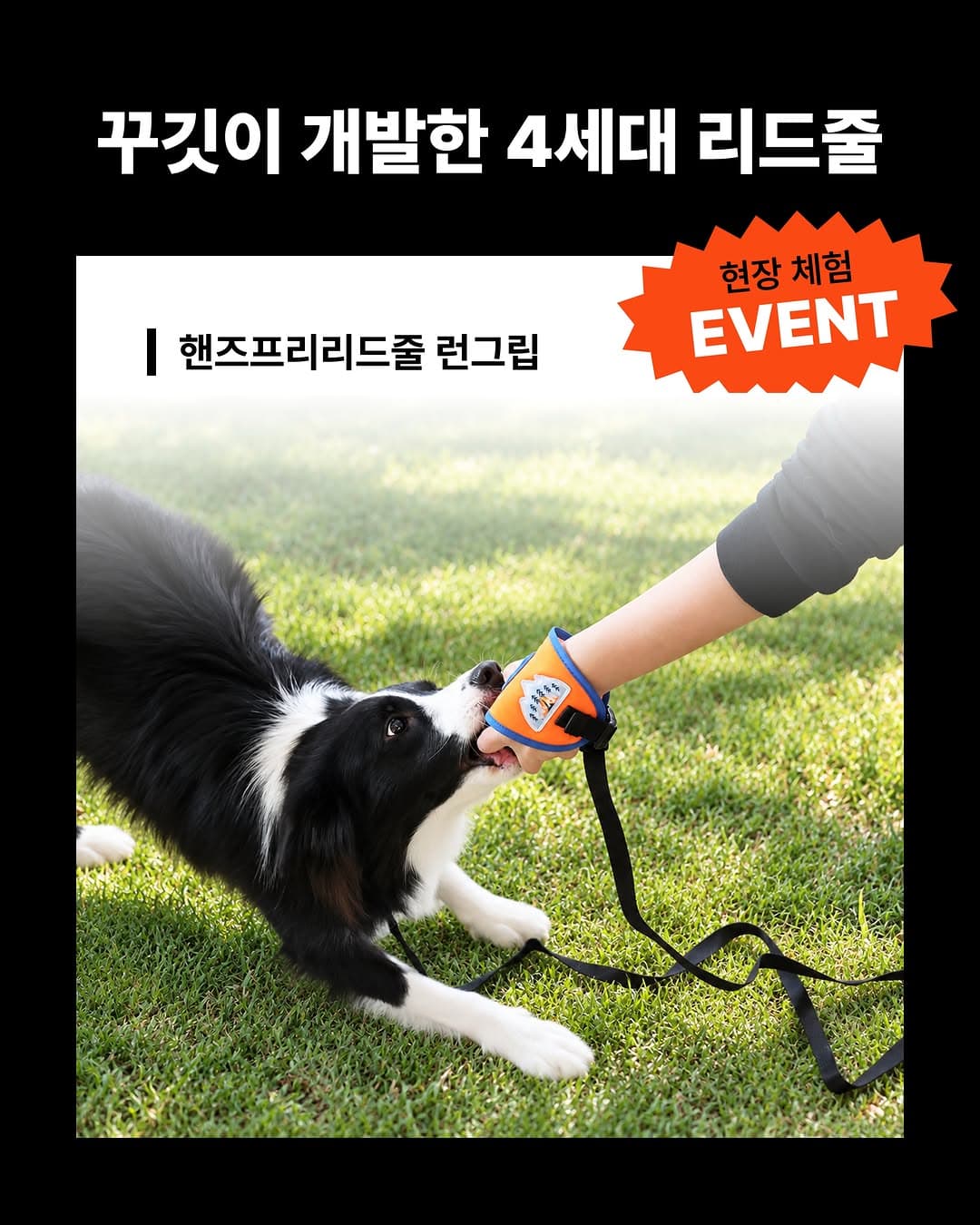 https://d8nffddmkwqeq.cloudfront.net/store/e03eb1e6%2C75ce%2C4888%2C9ee3%2Ccb05b2dabd0a메인 이미지