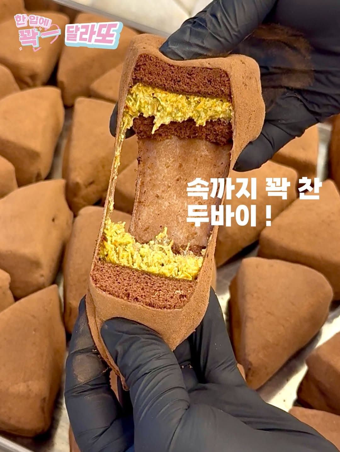 https://d8nffddmkwqeq.cloudfront.net/store/e7eb77a3%2C16f6%2C4271%2C9f05%2C6aea921485e6메인 이미지