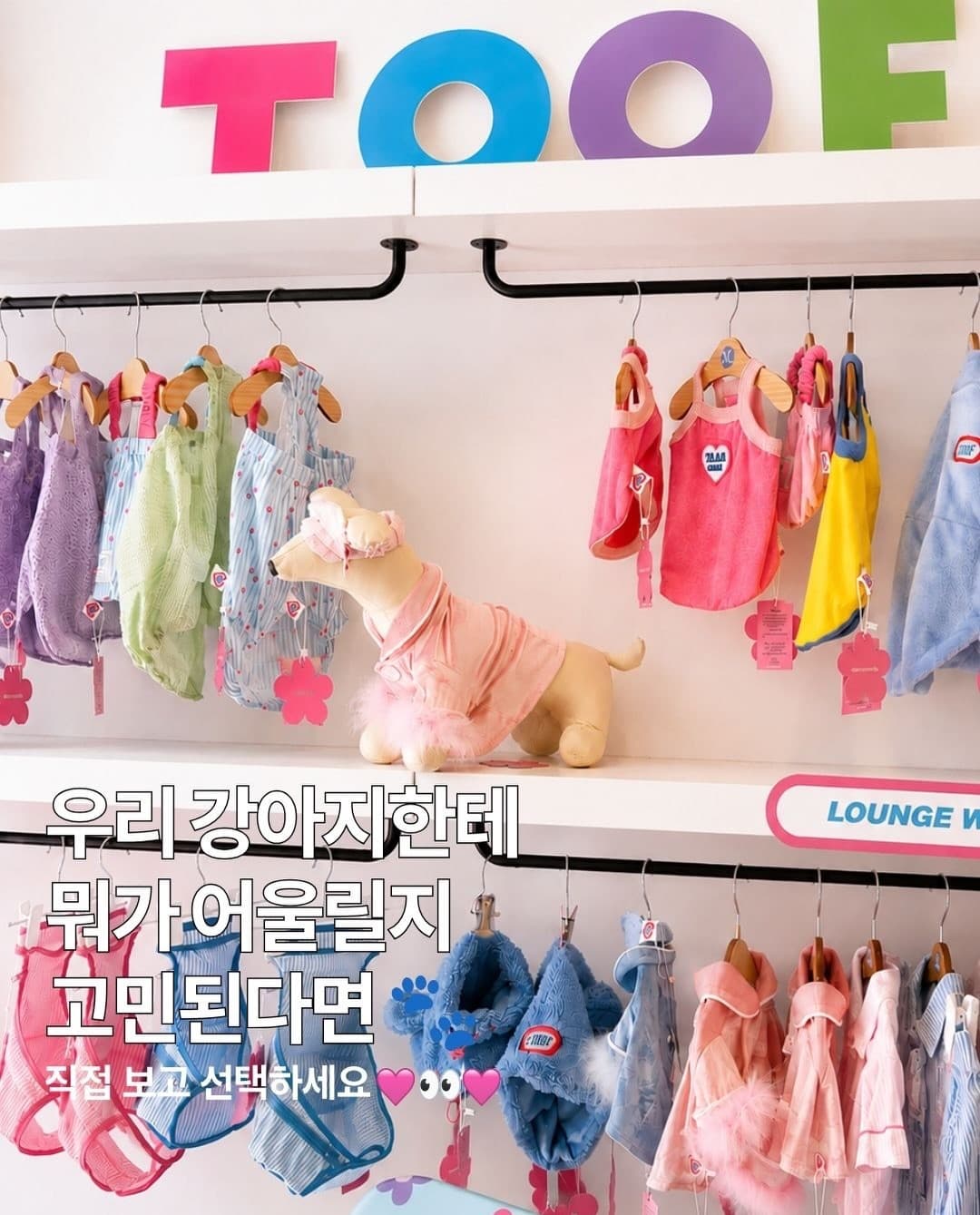 https://d8nffddmkwqeq.cloudfront.net/store/ed61168e%2C9e01%2C41b5%2Cb87e%2C4c47e70b5bdb메인 이미지