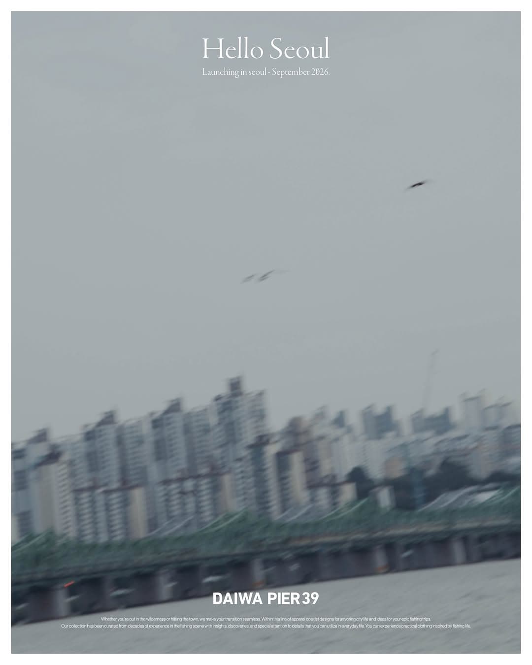https://d8nffddmkwqeq.cloudfront.net/store/efa0e7f0%2C02c5%2C4c72%2Caa68%2Cf3ac587a0205메인 이미지