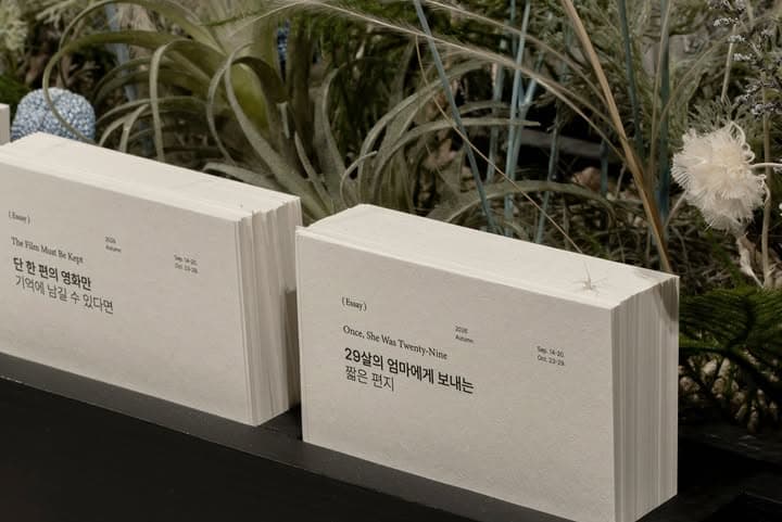 https://d8nffddmkwqeq.cloudfront.net/store/fab827e4%2Ca451%2C4800%2Ca37d%2C5bfec18fb64b메인 이미지